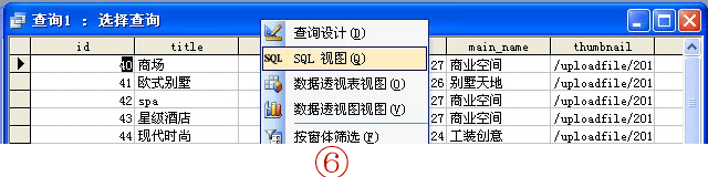 access内部使用sql 语句